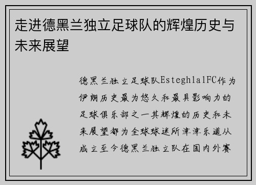 走进德黑兰独立足球队的辉煌历史与未来展望